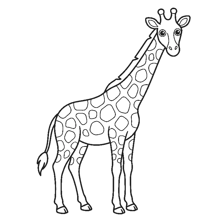 Colouring page of a giraffe standing in profile with its head turned forward, two eyes, two ossicones, a long neck and rounded patches all over its body, black outlines on white