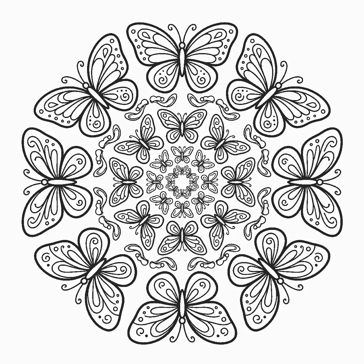 Colouring page of a circular mandala of butterflies in four rings, each ring smaller than the last, with small curling flourishes between them, black outlines on white