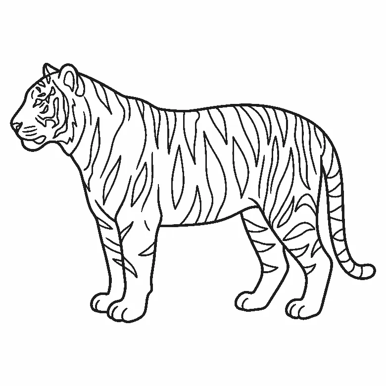 Colouring page of a tiger standing in profile with one almond eye, its stripes drawn as long closed leaf shapes down the back, flanks and legs, and a banded tail curving up behind it, black outlines on white