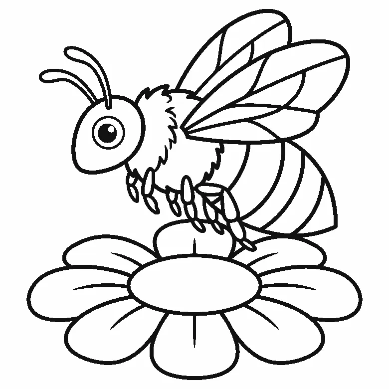 Coloring page of a bee seen from the side with one round eye, two curved antennae, a fringed collar, a body in four broad stripe panels, two large wings divided by veins and six small legs, resting on a wide flower with a big oval center, black outlines on white