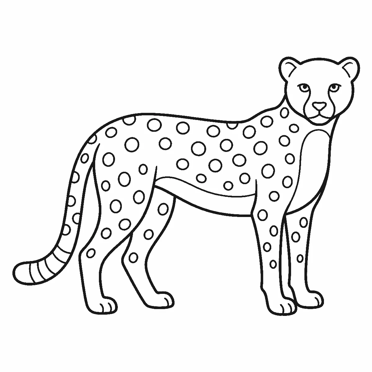 Coloring page of a cheetah standing in profile with its head turned to the viewer, two round eyes, tear lines down the cheeks, solid round spots spaced over the body and legs, and a tail spotted at the base and banded at the tip, black outlines on white