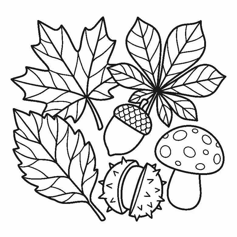 Coloring page of a fall group: a maple leaf, a chestnut leaf, two other veined leaves, an acorn in its cap, a split spiny horse chestnut case and a spotted mushroom, black outlines on white