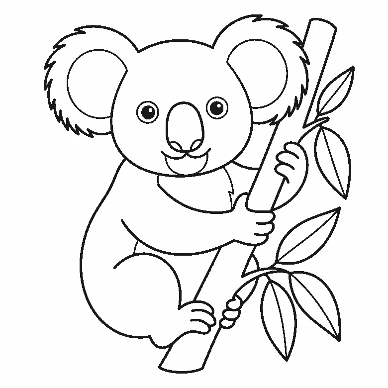 Coloring page of a koala clinging to a eucalyptus branch and facing forward, with two round eyes, a large filled nose and two very big round ears fringed with short strokes, beside sprays of long pointed leaves, black outlines on white