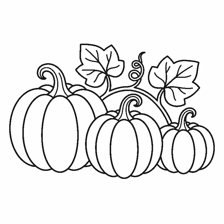 Coloring page of three ribbed pumpkins of different sizes with curled stems, behind them a vine with two broad leaves and a curling tendril, black outlines on white