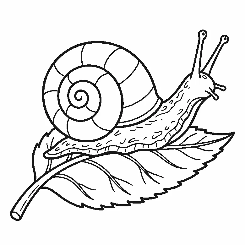 Coloring page of a snail crawling along a large toothed leaf, its shell a wide spiral of broad bands, with one small eye on the head, two long tentacles tipped with knobs and two short ones below, black outlines on white